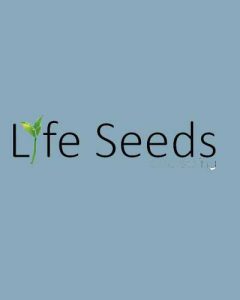 Life Seeds Counselling